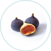 Figs-1