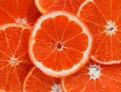 Oranges are renowned for their Vitamin C content
