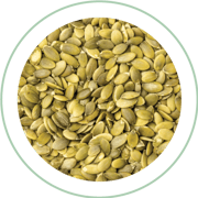 Pumpkin-Seeds-1