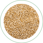 Quinoa-1